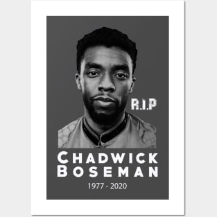 Chadwick Boseman RIP Posters and Art